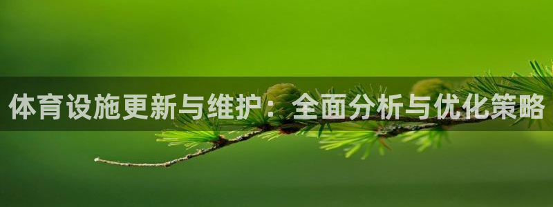 德国意昂4集团