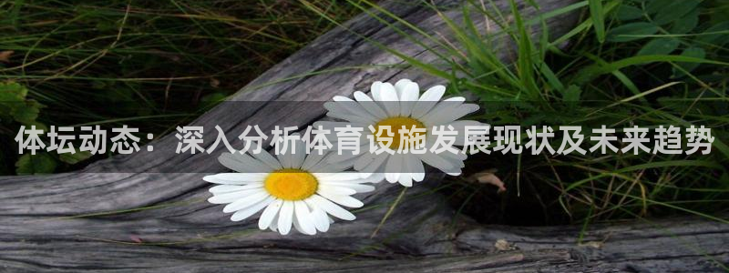 意昂4开户：体坛动态：深入分析体育设施发展现状及未来趋势