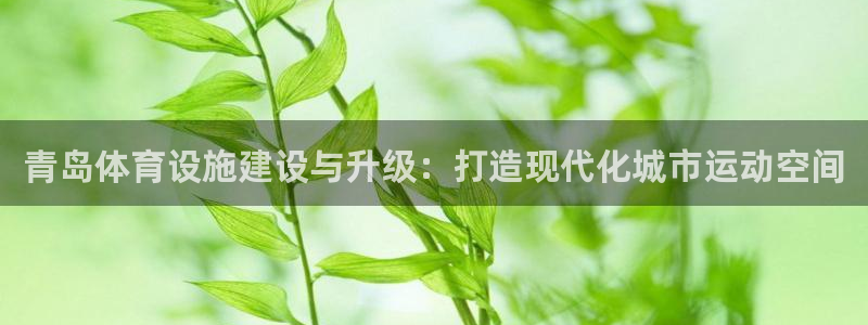 意昂4科技：青岛体育设施建设与升级：打造现代化城市运动空间